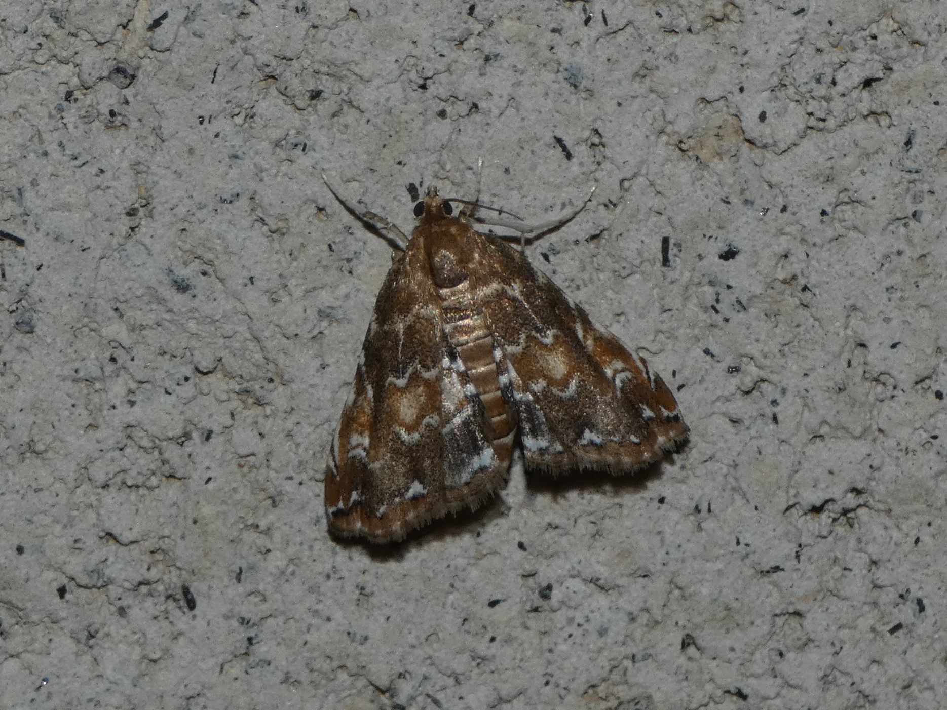 photo_4